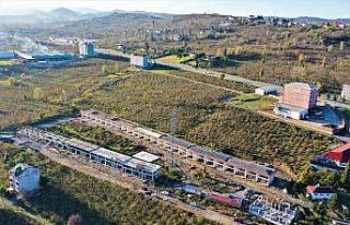 Altınordu’da oto galericiler sitesinde çalışmalar...