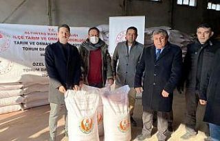 Altıntaş’ta selden zarar gören çiftçilere buğday...