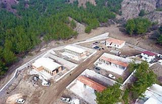 Amasya Belediyesi sokak hayvanları için otel yapıyor