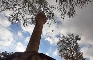 Amerikalı gezgin çift Tut ilçesinde uçtu