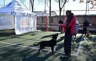 Ankara İtfaiyesi arama kurtarma köpeklerinin başarısı...