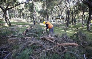 Antalya Hayvanat Bahçesi’ne kış bakımı