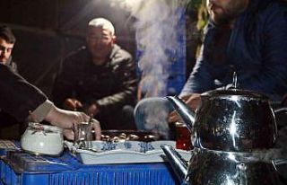 Antalya’daki çiftçilerin çaylı kestaneli ‘soğuk...
