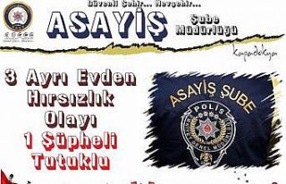 Antika hırsızı tutuklandı