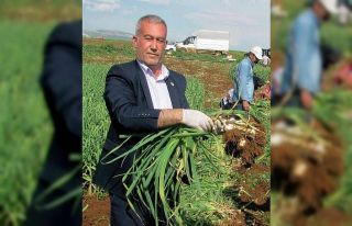 Arabanlı çiftçilere don uyarısı