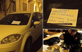 Aracın motoruna sıkışan kedi itfaiye ekipleri...