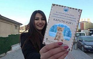 Araçların motor bölümüne giren kedilere dikkat:...
