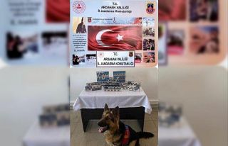 Ardahan’da kaçak sigara operasyonu
