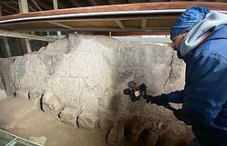 Arslantepe Höyüğü’ne uluslararası ilgi