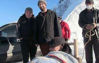 Artvin’de Gürcistan sınırındaki Camili bölgesinde...