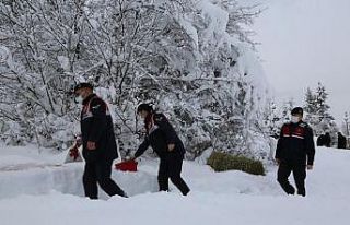 Artvin’de yaban hayatı için doğaya yem bırakıldı