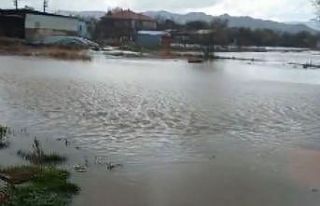 Aşırı yağışlar mahalleyi göle çevirdi