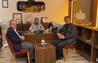 Aydemir: ‘Prinkayalar eser siyasetimizin sonucudur’