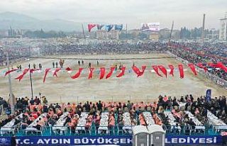 Aydın’da 184 deve kıran kırana güreşti