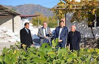 Aydın’da incir fidanı dağıtıldı