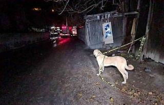 Babası uyurken evi ateşe verdi