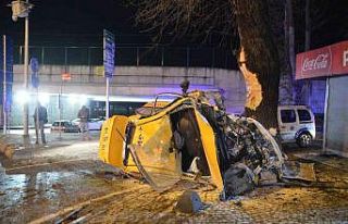 Babasının ticari taksisi ile ağaca çarpan genç...