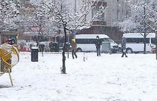 Bafra’da kar yağışı