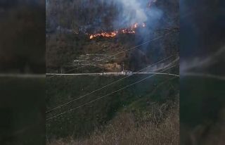 Bahçesinde ateş yakarken ormanlık alanda yangına...