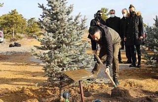 Bakan Pakdemirli, 252 milyonuncu fidanı toprakla...