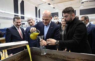 Bakan Soylu zeytinin zeytinyağına ait serüveni...
