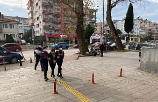Bakıcılık yaptığı villadan bir milyonluk döviz...