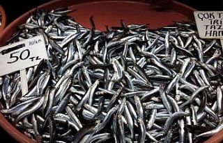 Balık az gelince fiyatlar yükseldi