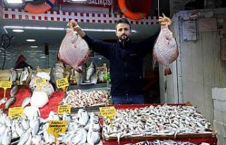 Balıkçılar 2021’den memnun ayrılıyor