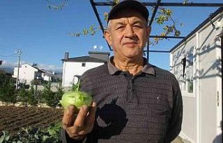 Balıkesir’de emekli eğitimci hobi bahçesinde...