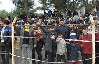 Balıkesir’de sezonun ilk deve güreşi yapıldı