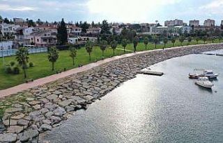 Balyanoz Koyu, Darıca’ya değer katacak