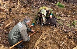 Bandırma’ya 5 bin fidanlık hatıra ormanı