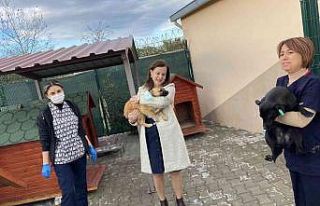 Başkan Çalkaya’dan barınak denetimi