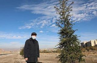 Başkan Çolakbayrakdar: “Bu yıl 100 binden fazla...