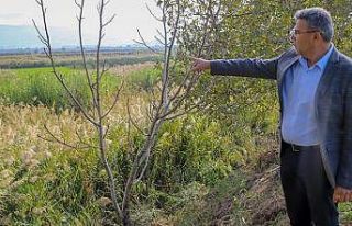 Başkan Güler’den Köşk arıtma tesisi açıklaması