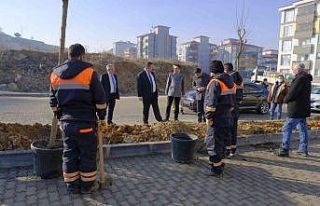 Başkan Vidinlioğlu: “Mahallelerimizin ihtiyaçlarına...