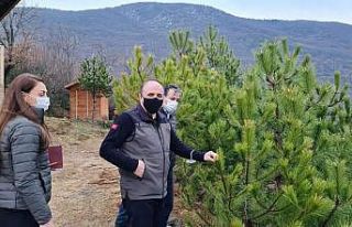 Bayraktaroğlu "Orman köylüsünün gönlüne...