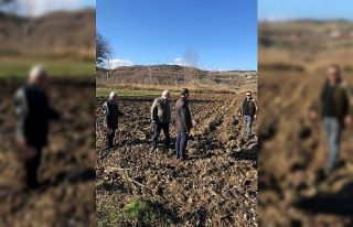 BBP buğday ekerek tarıma giriyor