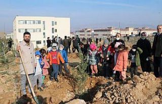 Betül Dürgen Hatıra Ormanı’na 250 fidan