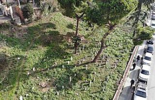 Beykoz’ da tarihi mezarlık definecilerin talanına...