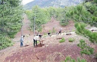 Beyşehir, Hüyük ve Derebucak’ta gelir getirici...