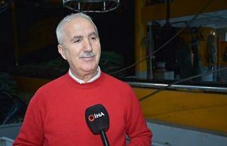 Bilim adamından ’hamsi’ için çağrı: "Karadeniz...