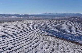 Bingöl’de 210 bin adet fidan toprakla buluştu