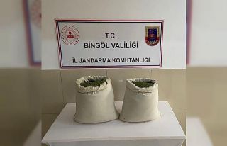 Bingöl’de 29 kilo esrar ele geçirildi
