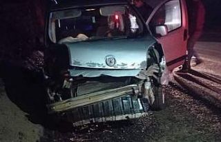 Bingöl’de araç duvara çarptı: 3 yaralı