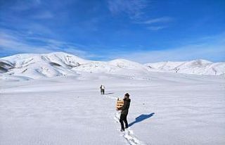Bingöl’de yaban hayvanları için doğaya yem bırakıldı