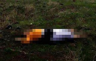 Bir haftadır kayıp olan iki çocuk annesi kadın...