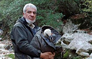 Bitkin halde bulduğu kızıl akbabayı ölmesin diye...