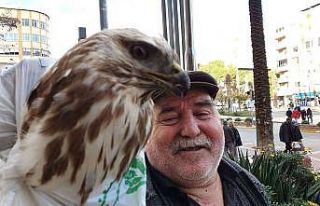 Bitkin haldeki şahini kurtaran vatandaş: "Hakkı...