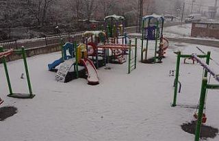 Bitlis’te kar yağışı etkili oldu